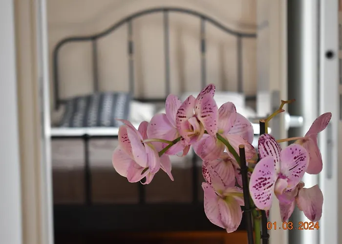 Apartamento Trastevere St Ariabianca House